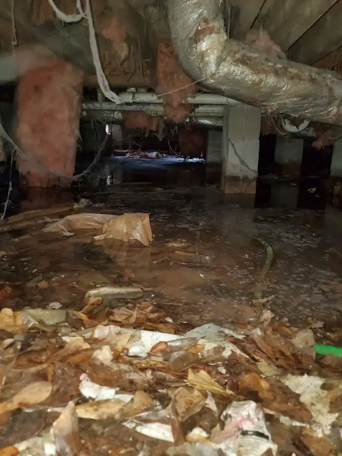 Crawl space flood assessment for Leak Detection & Repair in Rock Hill