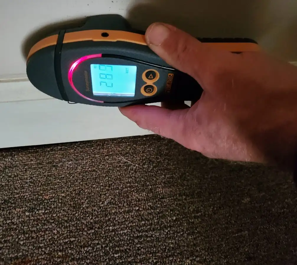 Moisture detection at baseboard during Mold Inspection & Testing in Rock Hill